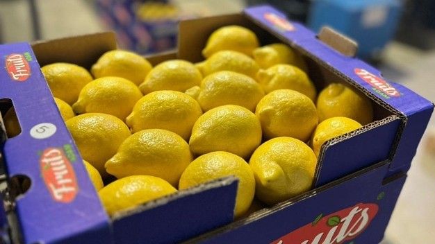 تورکیا هەناردەکردنی لیمۆی ڕاگرت
