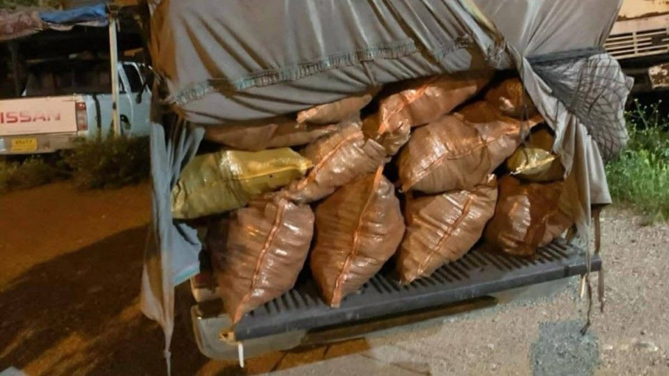 دارستان و ژینگەی سلێمانی: لە زیادکردنێکی ئاشکرادا 39 ماسی دەفرۆشین