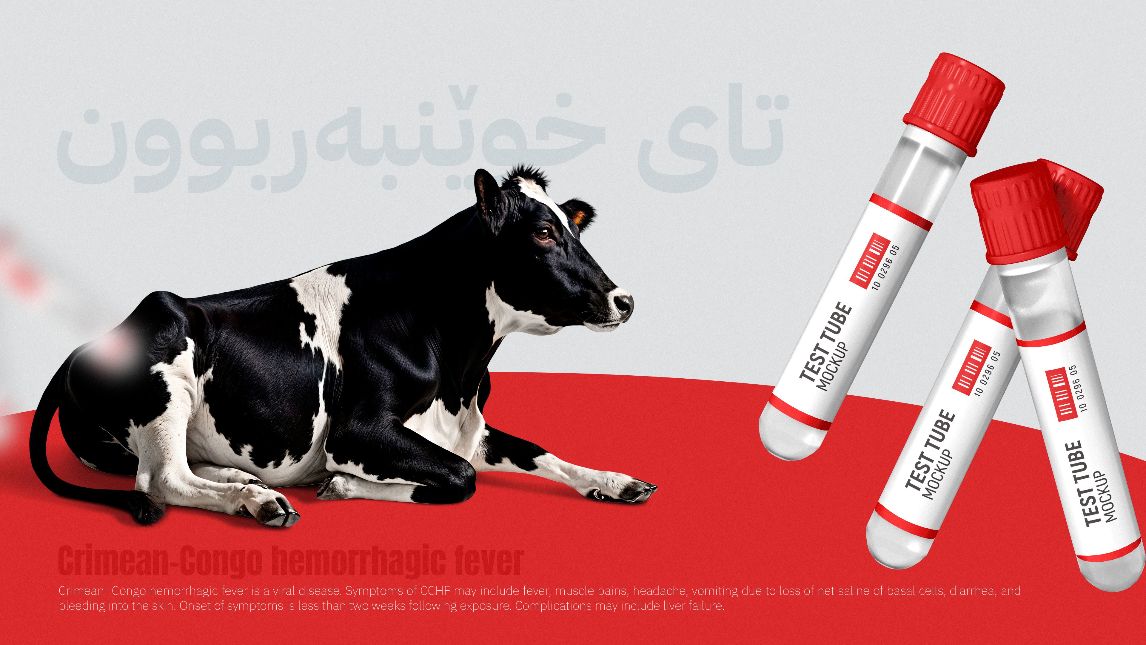 لە عێراق 14 حاڵەتی تووشبوون بە تای خوێنبەربوون ڕاگەیێنرا