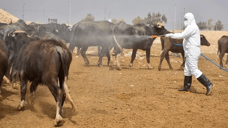 هیچ تووشبوویێکی تای خوێنبەربوون لە هەرێمی کوردستان تۆمار نەکراوە